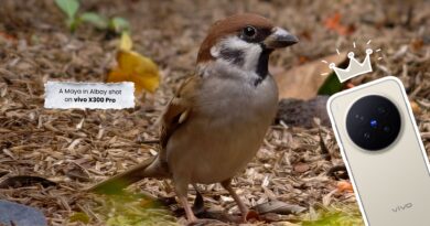 vivo X300 Pro: Bringing Nature Closer Than Ever Before