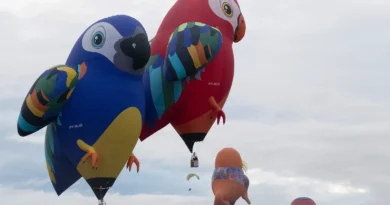 PH Int’l Hot Air Balloon Fiesta Showcases 2026 Special Balloons, Drone Races